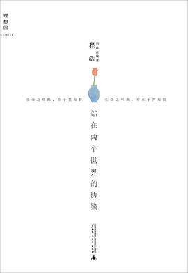 站在两个世界的边缘一个关于生存、抗争和救赎的二战故事 pdf下载