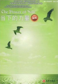 当下的力量一把开启健康、财富和爱之秘密的钥匙 epub下载